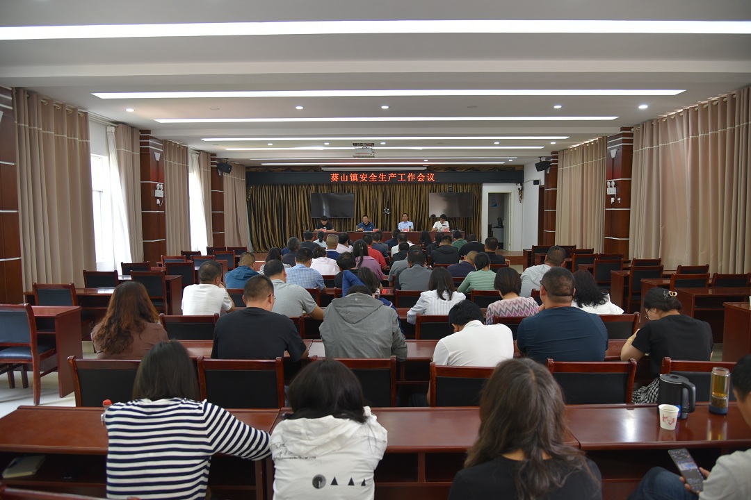 統(tǒng)籌部署，召開專題會.JPG