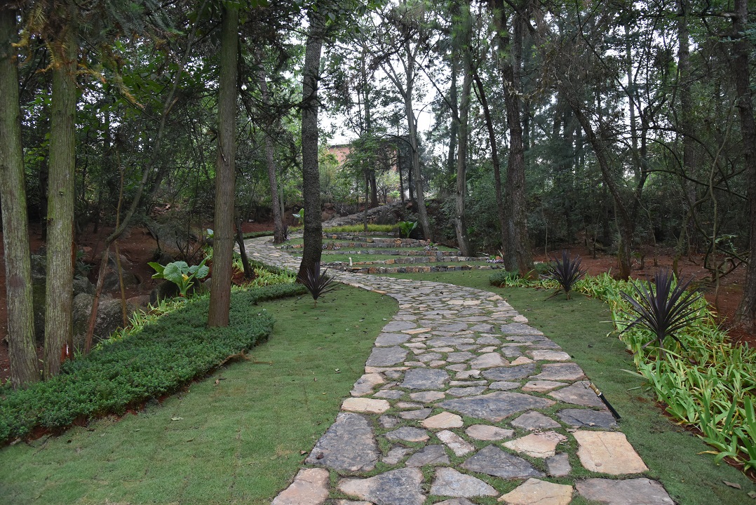 圖六，冒水洞村林間步道景觀.JPG